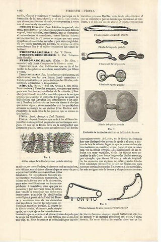 LAMINA ESPASA 32672: Fibulas nordicas