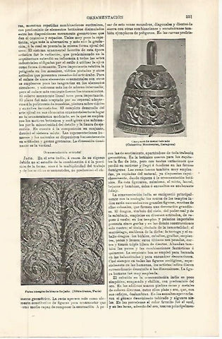 LAMINA ESPASA 32884: Falsa bisagra de Notre Dame en Paris