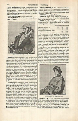 LAMINA ESPASA 32911: Autorretrato de Guillermo Orpon