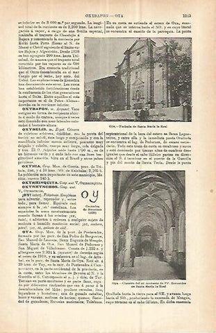 LAMINA ESPASA 32855: Santa Maria la Real de Oya, Pontevedra