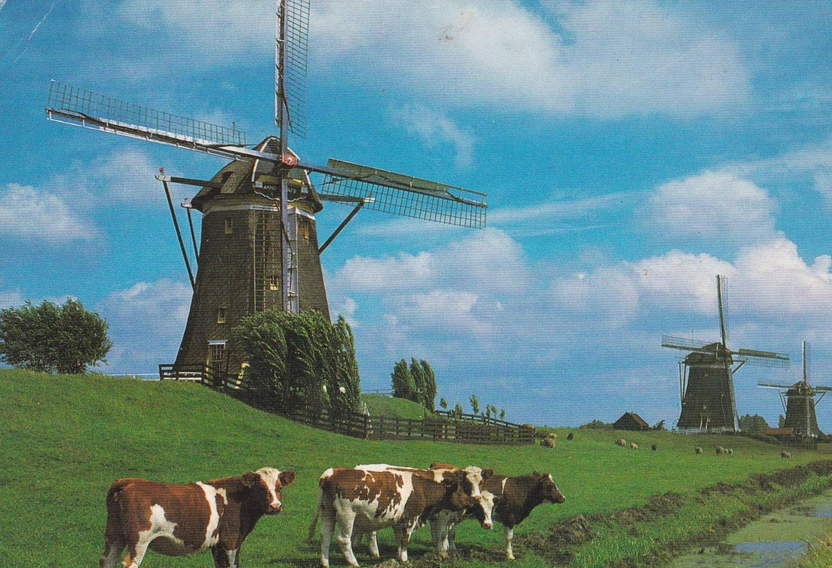 POSTAL B12399: HOLANDA: LEIDSHENDAM