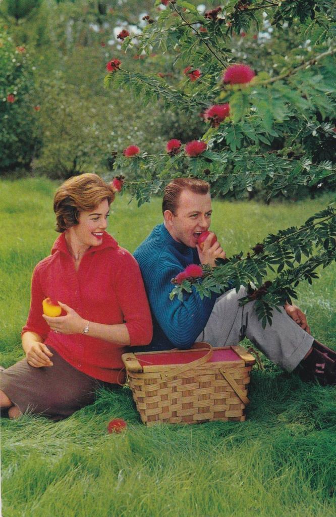 POSTAL B12433: PAREJA DISFRUTANDO DE PICNIC AL AIRE LIBRE