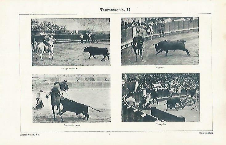 LAMINA ESPASA 33507: Tauromaquia: Cita para vara, rejoneo, suerte de varas y quite