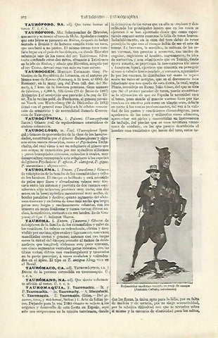 LAMINA ESPASA 33505: El rejoneador Antonio Cañero