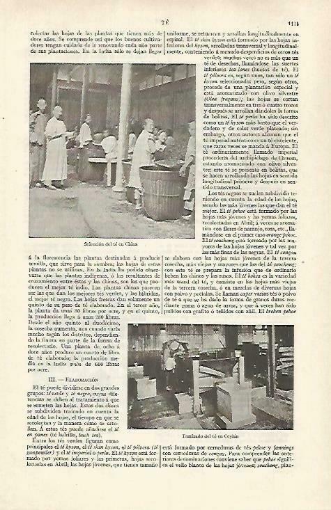 LAMINA ESPASA 33523: Selección de te en China