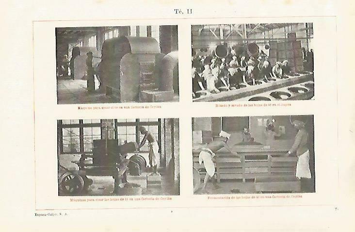 LAMINA ESPASA 33525: Fabrica de te en Japon y Sri Lanka