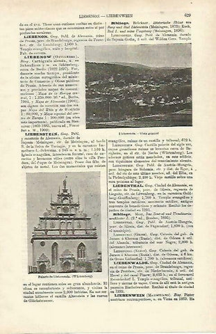 LAMINA ESPASA 33255: Palacio de Liebenstein, Alemania