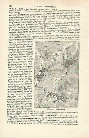 LAMINA ESPASA 33254: Mapa de Liebenstein y alrededores