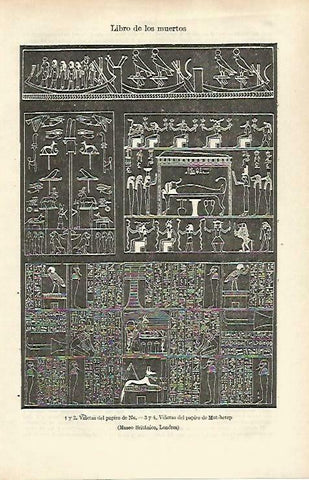 LAMINA ESPASA 33241: Libro de los Muertos en el British Museum