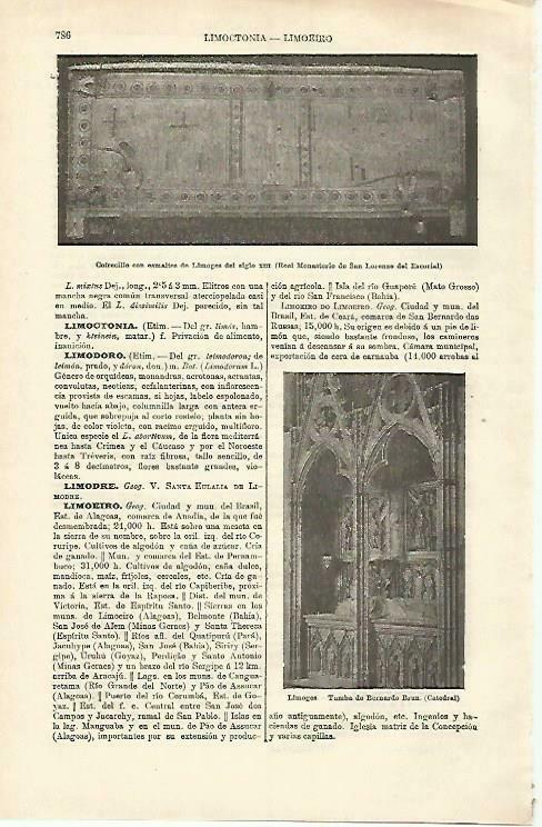 LAMINA ESPASA 33289:Tumba de Bernardo Brun en la Catedral de Limoges