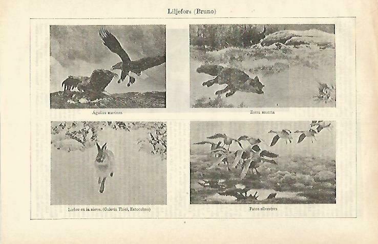 LAMINA ESPASA 33274: Aguilas marinas, Zorra muerta, Liebre en la nieve y Patos silvestres, por B. Liljefors