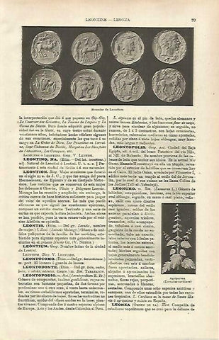 LAMINA ESPASA 33175: Monedas de Leontinus