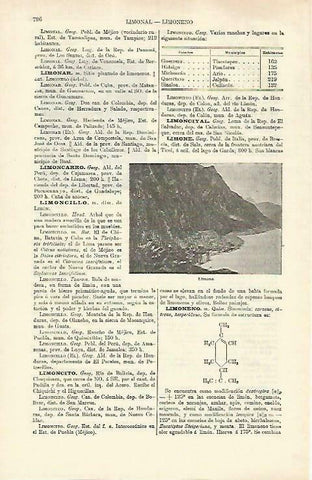 LAMINA ESPASA 33294: Limone, Italia