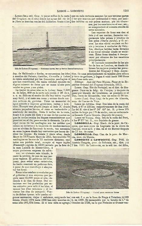 LAMINA ESPASA 33380: Faro de la isla de Lobos, Uruguay
