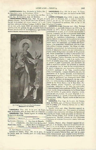 LAMINA ESPASA 33412: La Virgen y el Niño, por Lochner