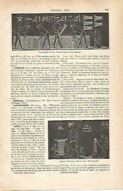 LAMINA ESPASA 33316: La cosecha del lino, papiro de Egipto