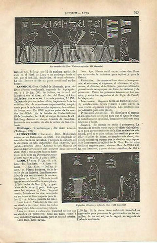 LAMINA ESPASA 33316: La cosecha del lino, papiro de Egipto