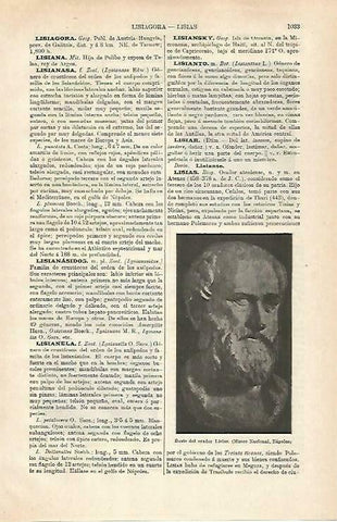 LAMINA ESPASA 33352: Busto del orador Lisias