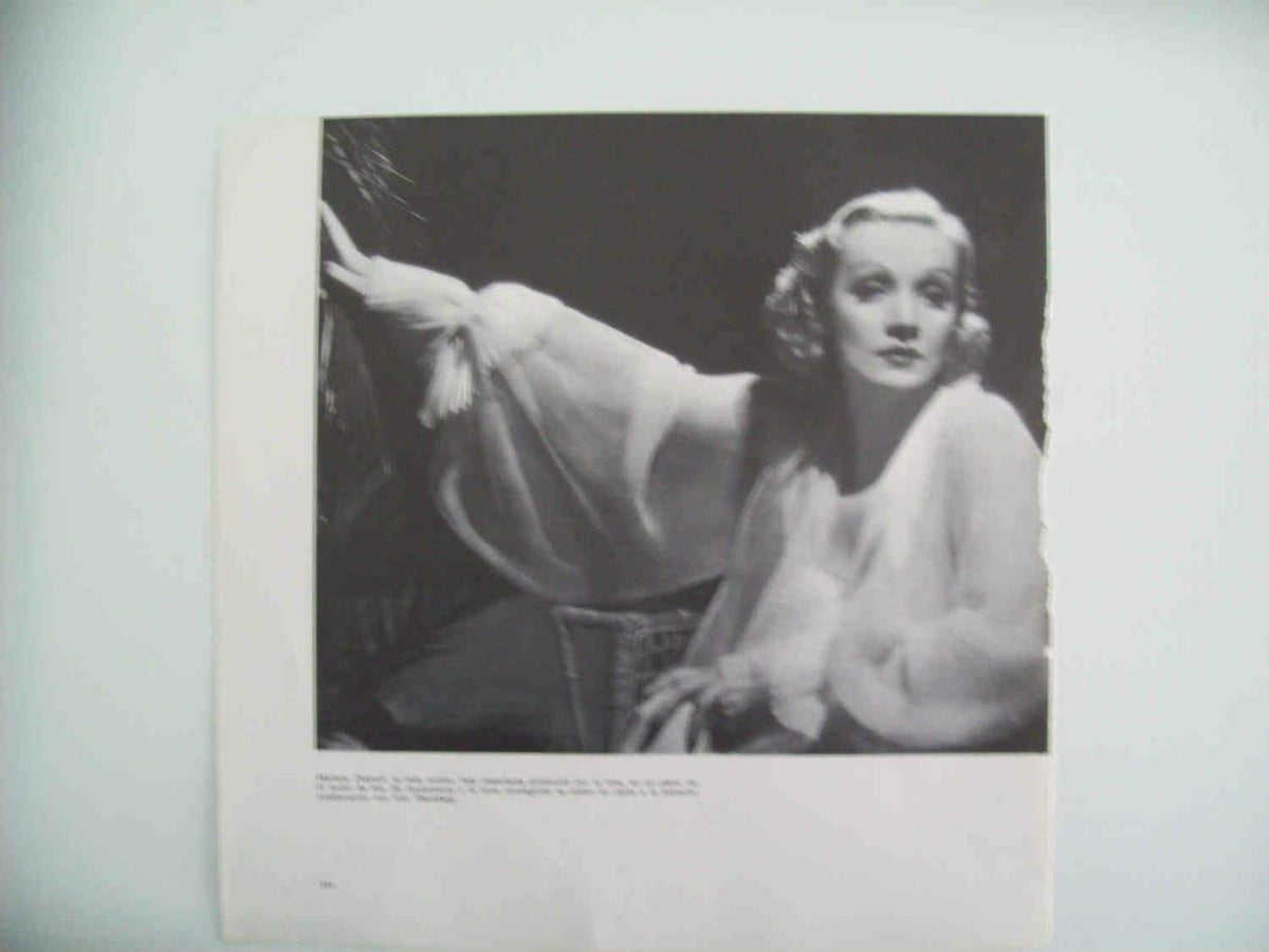 LAMINA 14270: Marlene Dietrich en El jardin de Ala