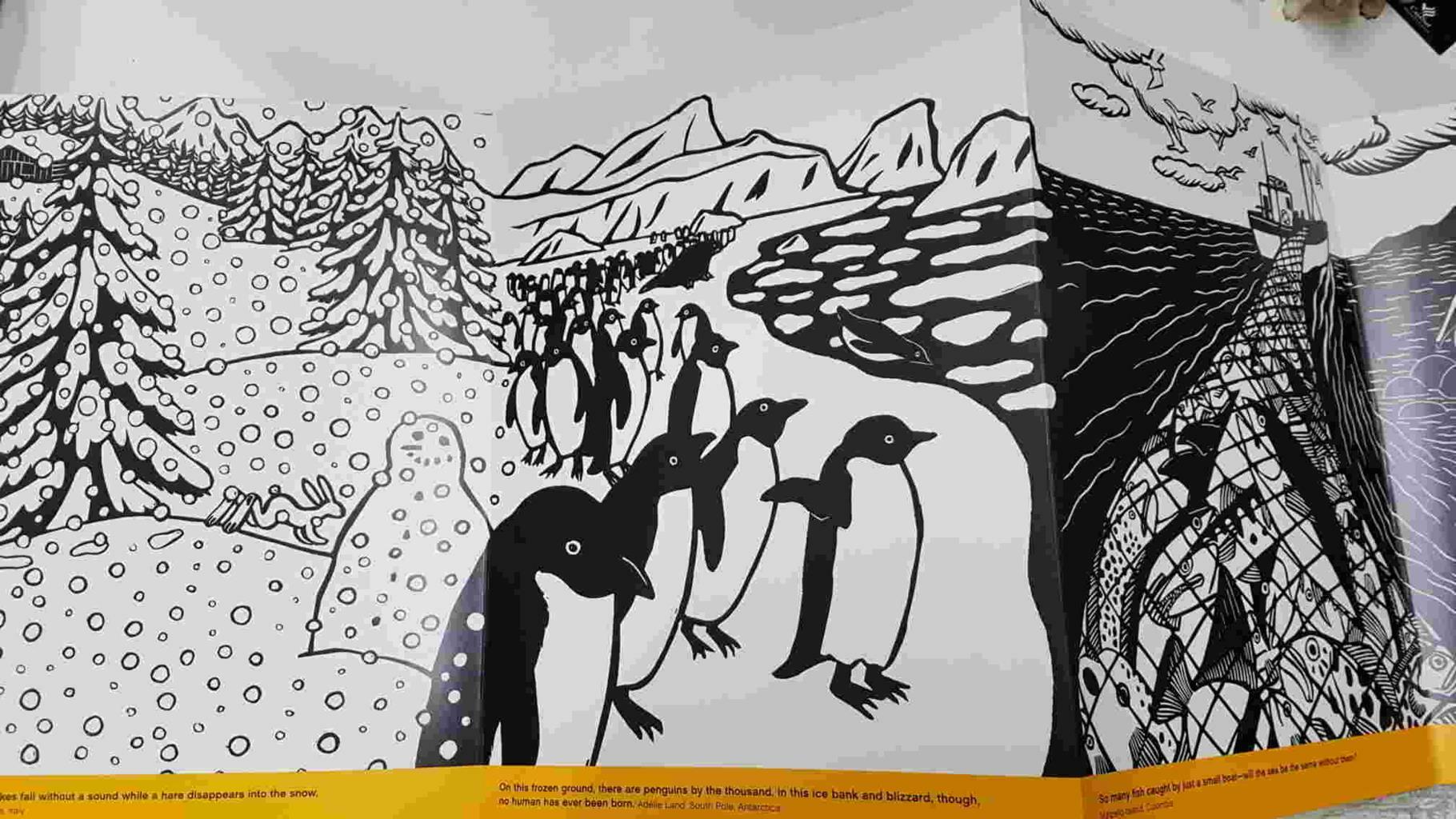 Abrams: Panorama foldout book - Fani Marceau, Joelle Jolivet