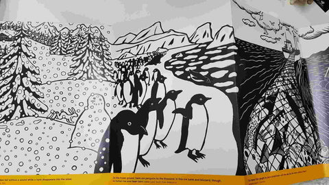 Abrams: Panorama foldout book - Fani Marceau, Joelle Jolivet