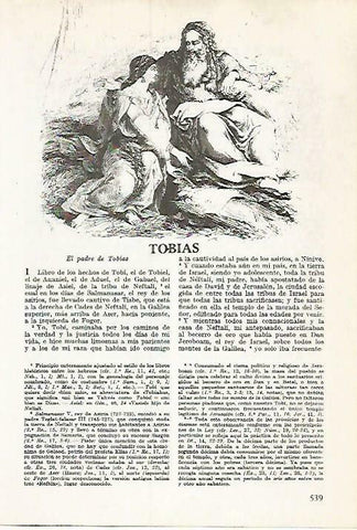 LAMINA 14515: El padre de Tobias