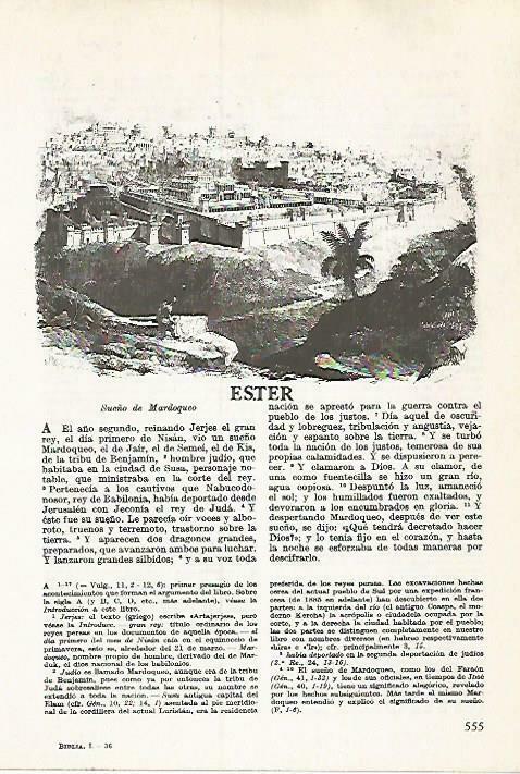 LAMINA 14517: Susa, Elam