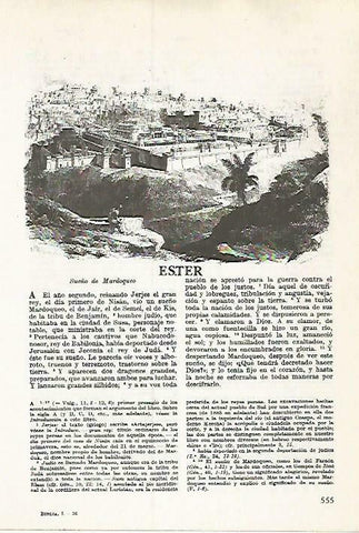 LAMINA 14517: Susa, Elam