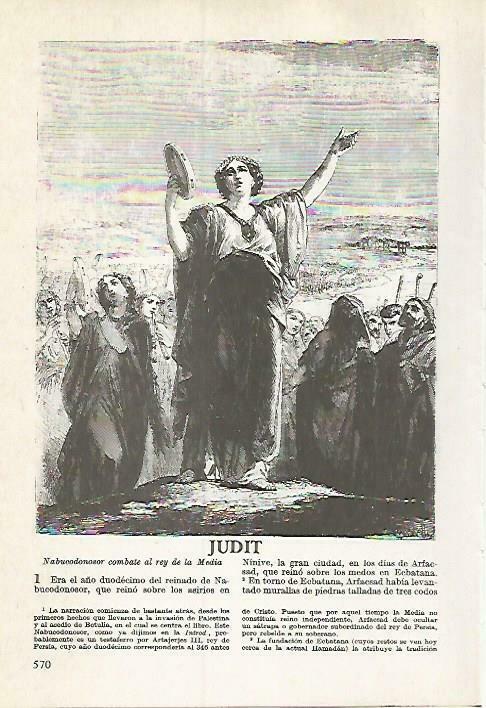 LAMINA 14519: Judit
