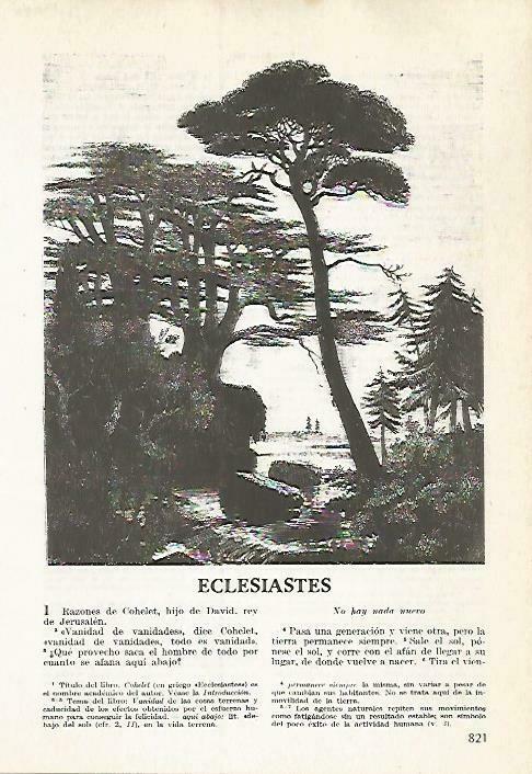 LAMINA 14542: Eclesiastes
