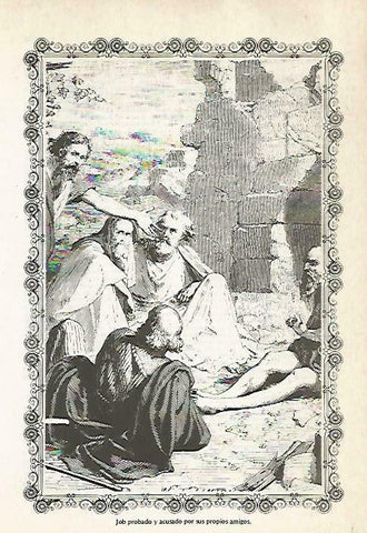 LAMINA 14485: Job y sus amigos