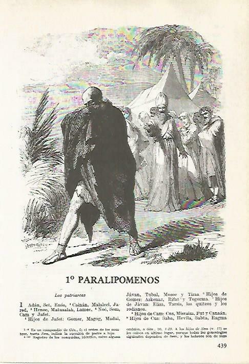 LAMINA 14506: Paralipomenos