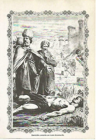 LAMINA 14497: Homicidio