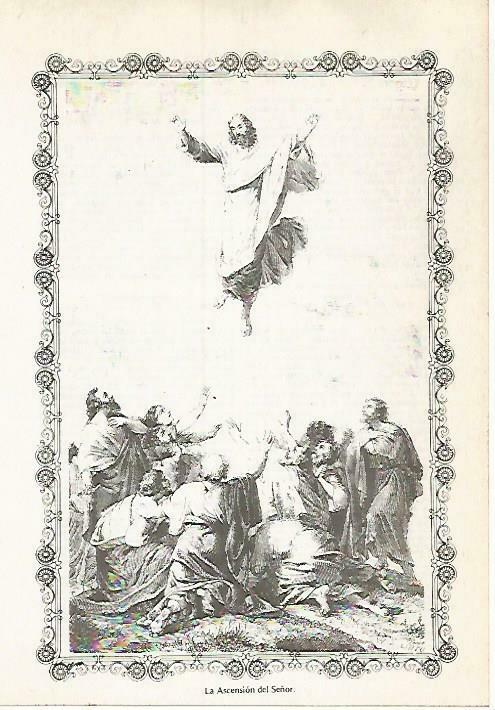 LAMINA 14583: La Ascension del Señor