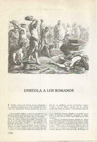 LAMINA 14598: Epistola a los romanos