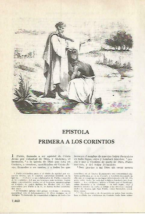 LAMINA 14593: Epistola a los corintios