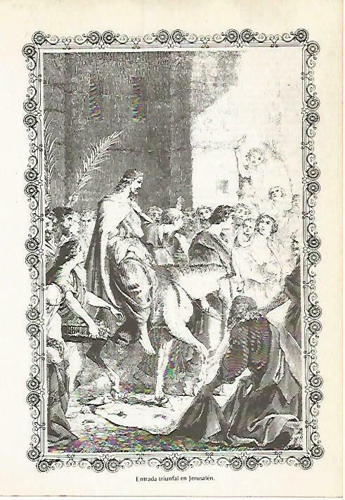 LAMINA 14577: Entrada de Jesus en Jerusalen