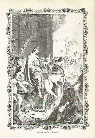LAMINA 14577: Entrada de Jesus en Jerusalen