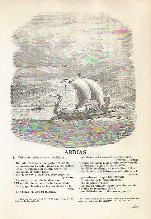 LAMINA 14571: Abdias