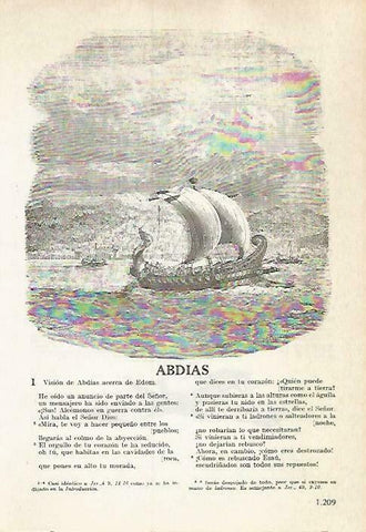 LAMINA 14571: Abdias