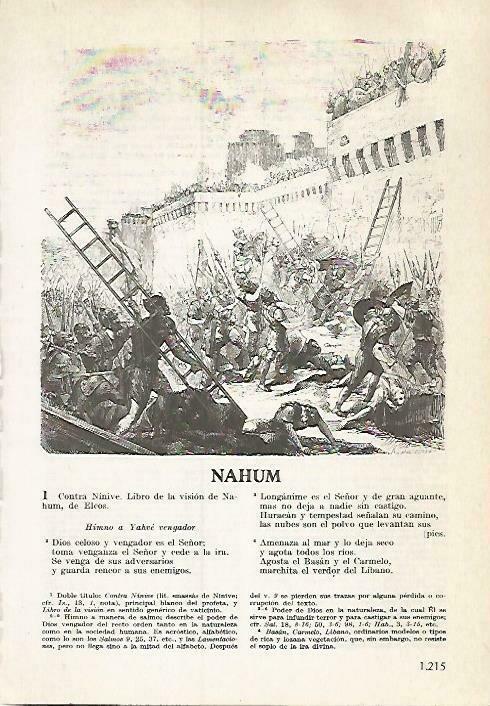 LAMINA 14573: Toma de Ninive