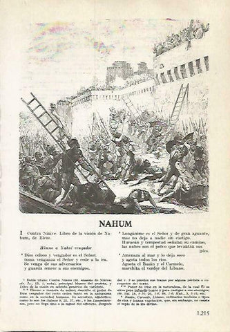 LAMINA 14573: Toma de Ninive