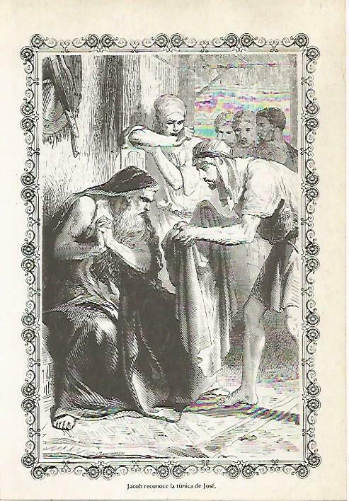 LAMINA 14481: Jacob reconoce la tunica de Jose