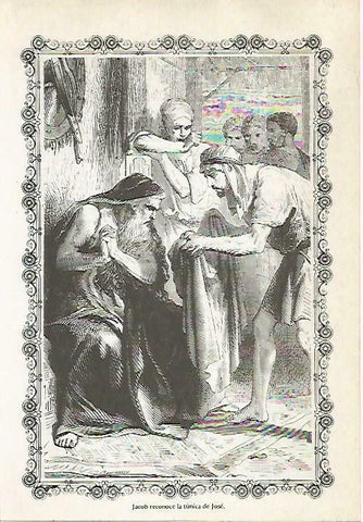 LAMINA 14481: Jacob reconoce la tunica de Jose