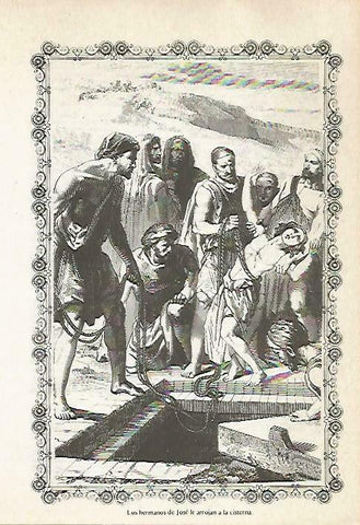 LAMINA 14480: Los hermanos de Jose