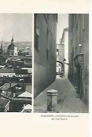 LAMINA 14389: Marmolillo en Madrid