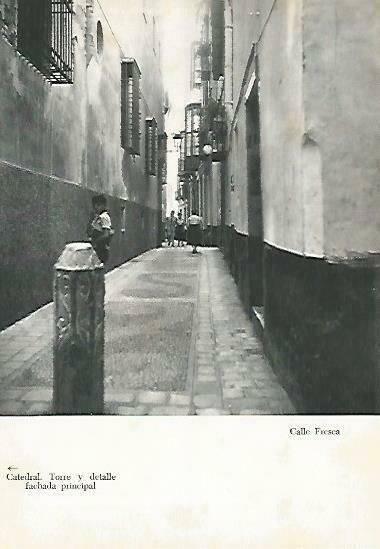 LAMINA 14354: Calle Fresca, Malaga