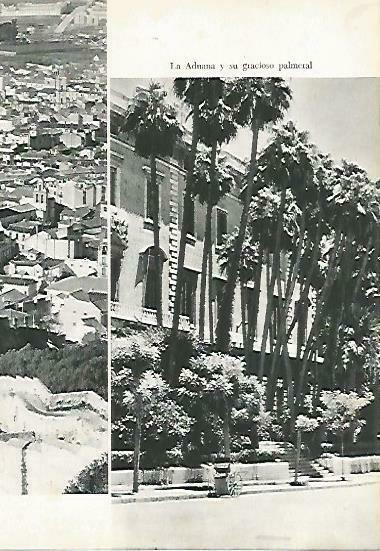 LAMINA 14359: Palmeral de la Aduana de Malaga
