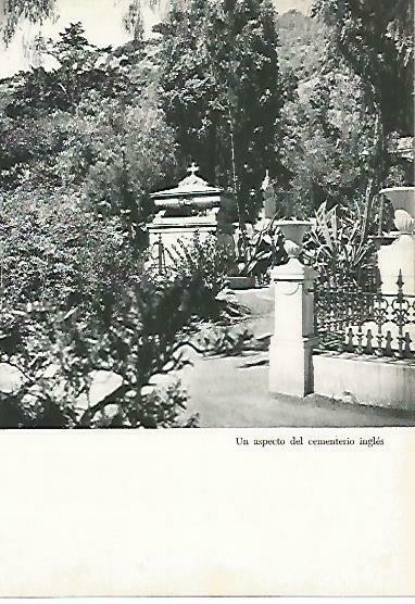 LAMINA 14361: Cementerio ingles de Malaga