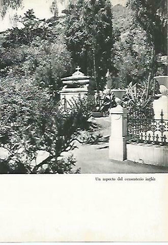 LAMINA 14361: Cementerio ingles de Malaga